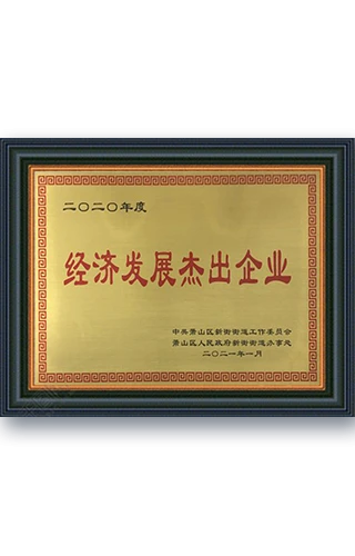 Outstanding Enterprise in Economic Development